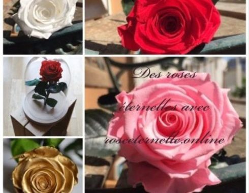 avis rose eternelle acheter une rose eternelle pas cher roseternelles.online my sweet beauté
